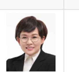 김선희 의원